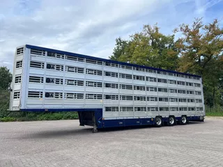 Pezzaioli 5 stock Livestock Full options