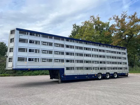 Pezzaioli 5 stock Livestock Full options