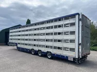 Pezzaioli 5 stock Livestock Full options Foto