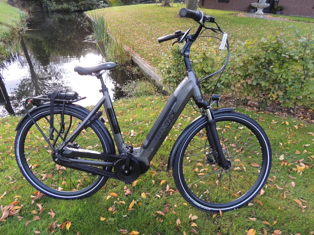VAN Dijck Gaia Framemaat 56 cm 500 WH accu