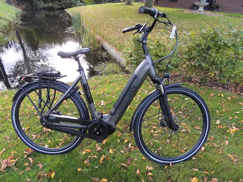 VAN Dijck Gaia Framemaat 56 cm 500 WH accu