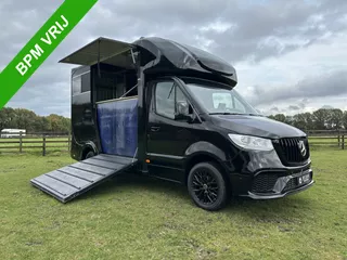 Mercedes-Benz Sprinter 317 AMG 2-paards paardenvrachtwagen B-rijbewijs