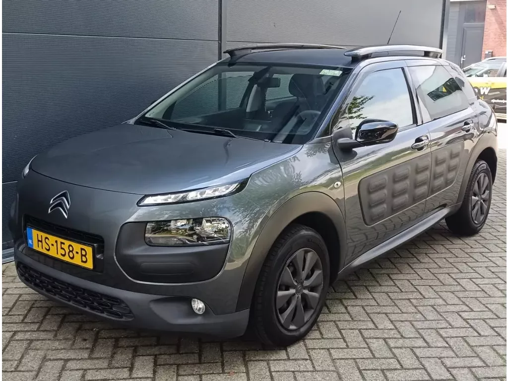 Citroen C4 Cactus 1.6 BlueHDi Business Leder Camera