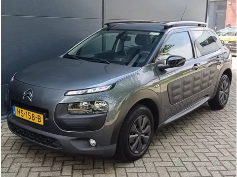 Citroen C4 Cactus 1.6 BlueHDi Business Leder Camera