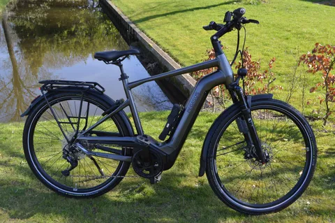 Pegasus  Premio EVo 10 ABS 750 WH accu Fram 55 cm