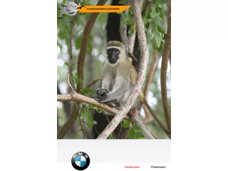 Fiat Ducato 30 2.3 MultiJet L1H