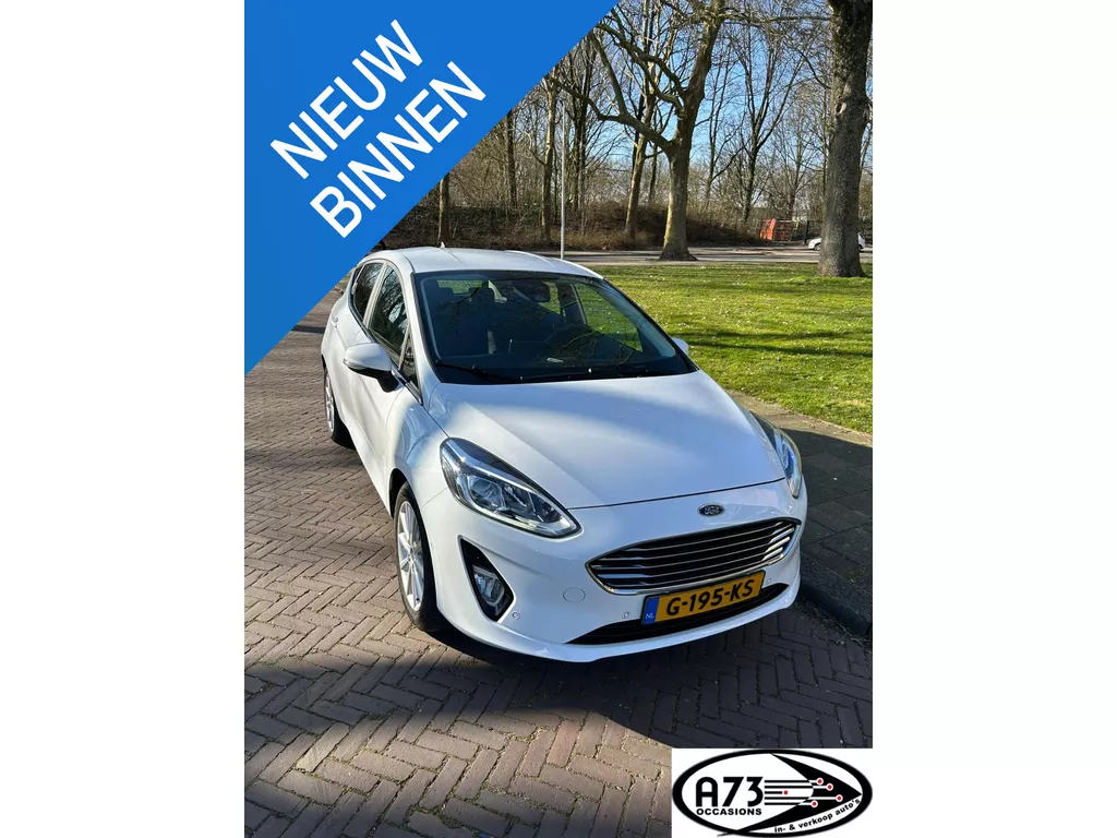 Ford Fiesta 1.0 EcoBoost Titanium In verkoop voor klant