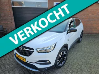 Opel Grandland X 1.2 Turbo 120 JAAR EDITION 2019 - Camera