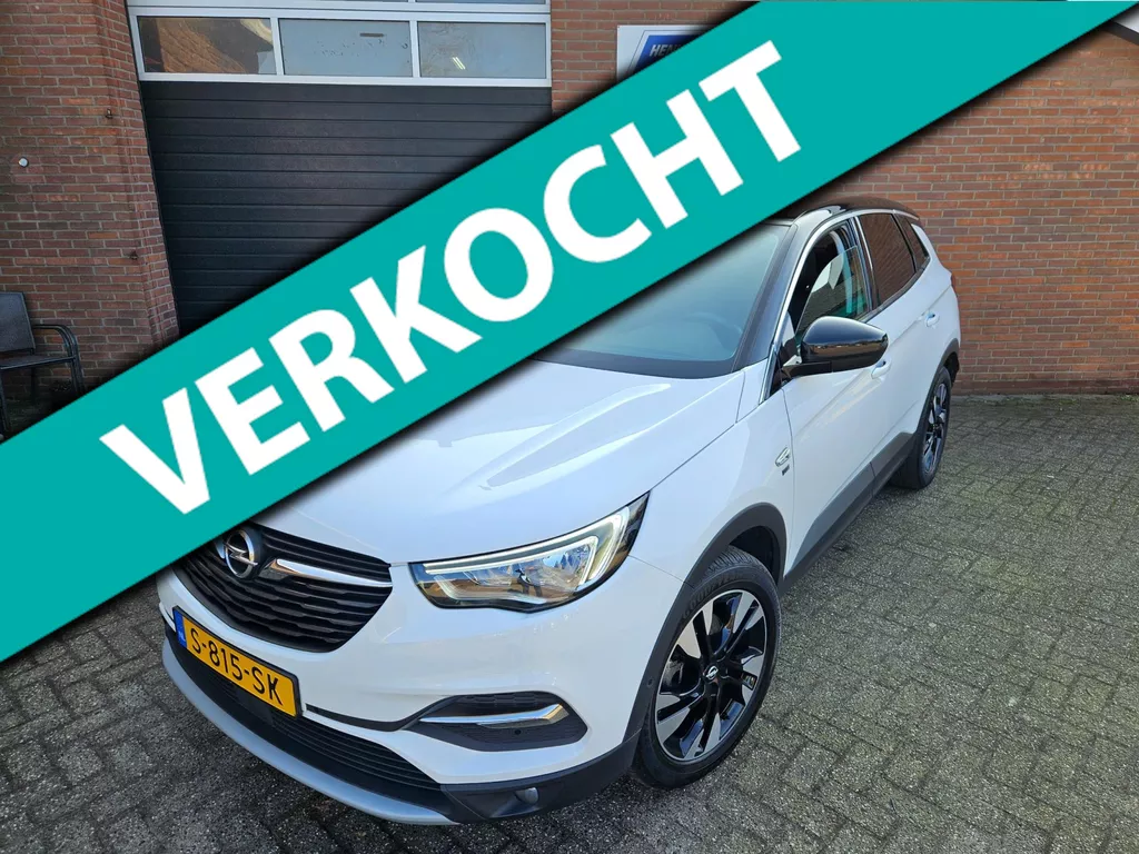 Opel Grandland X 1.2 Turbo 120 JAAR EDITION 2019 - Camera