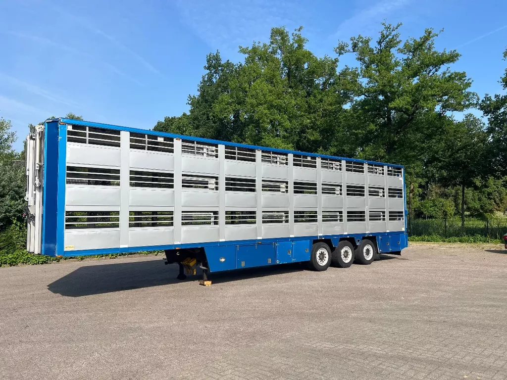 Berdex Livestock 1/2/3 stock Type 2 zeugenstand