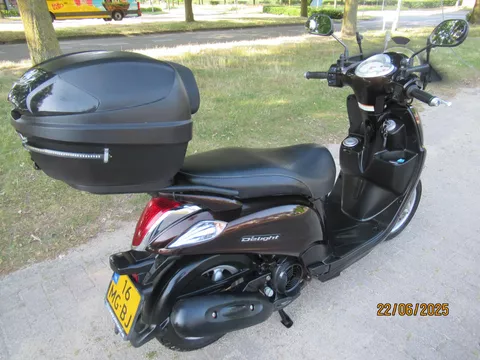 Yamaha D'elight