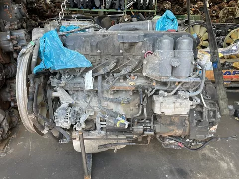DAF MX-265S2