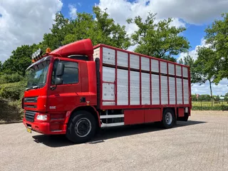 DAF CF 75 Veewagen Livestock 1/2 stock