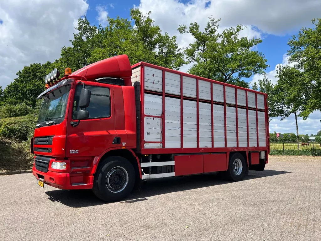 DAF CF 75 Veewagen Livestock 1/2 stock