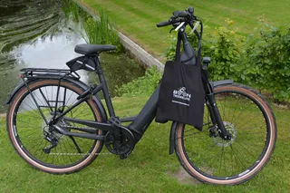 Pegasus  Premio EVO 10 Framemaat 50 cm 625 WH accu