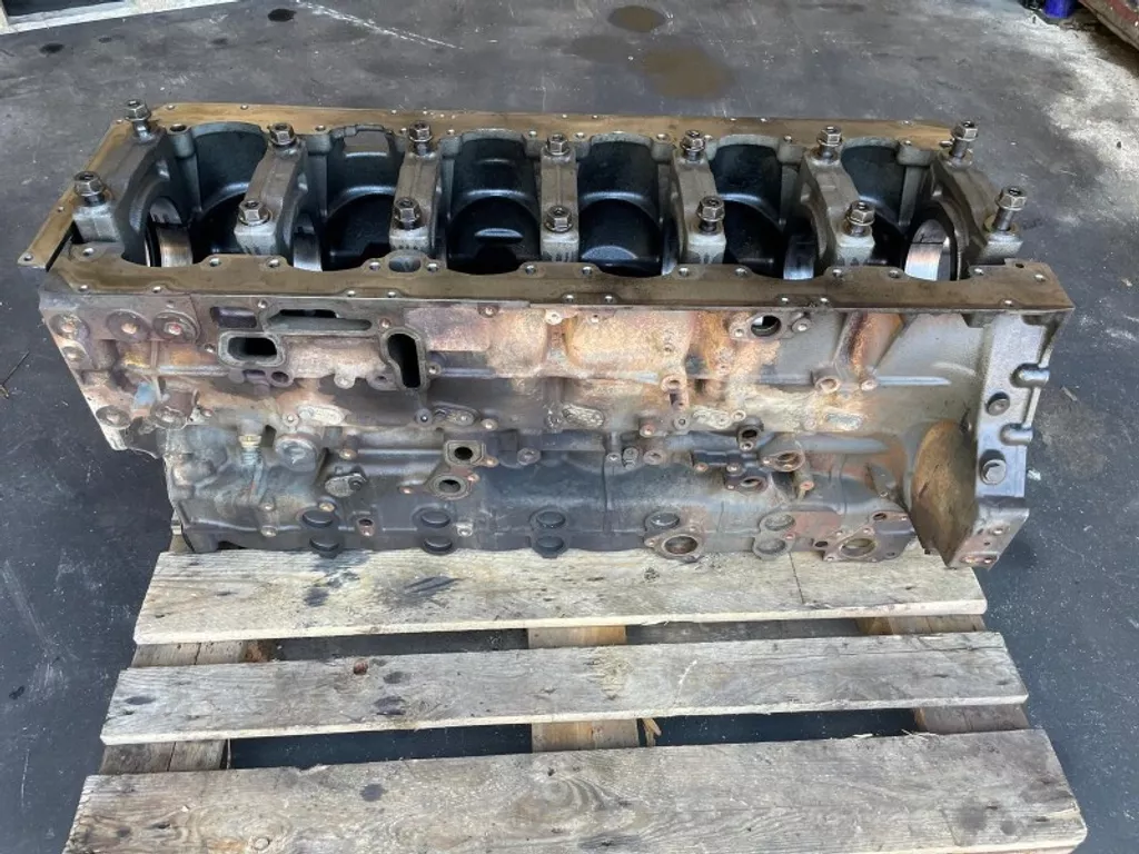 DAF 2115212 / 2441372 CILINDERBLOK (LICHTE BRANDSCHADE)