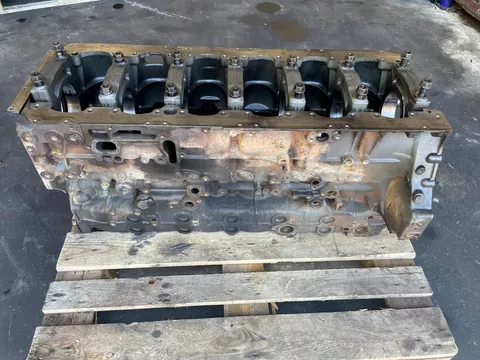 DAF 2115212 / 2441372 CILINDERBLOK (LICHTE BRANDSCHADE)