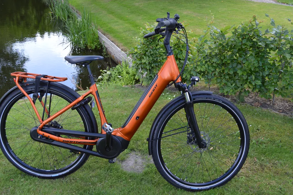 Giant Daily Tour +2 Framemaat 50 cm 500 WH accu