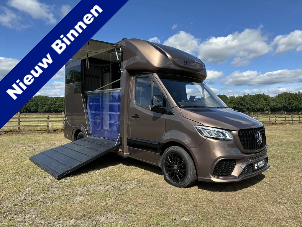 Mercedes-Benz Sprinter 319 AMG 2-paards paardenvrachtwagen B-rijbewijs