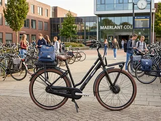 Giant Triple X Framemaat 51 cm 500 WH accu