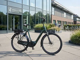 Batavus Finez Framemaat 61 cm 500 WH accu